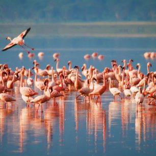 Ngorongoro Crater